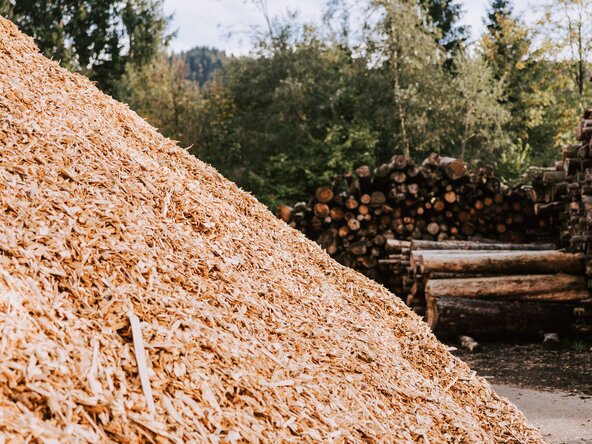 Nahaufnahme von Hackschnitzel